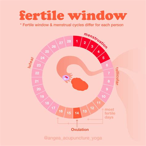 fertile .